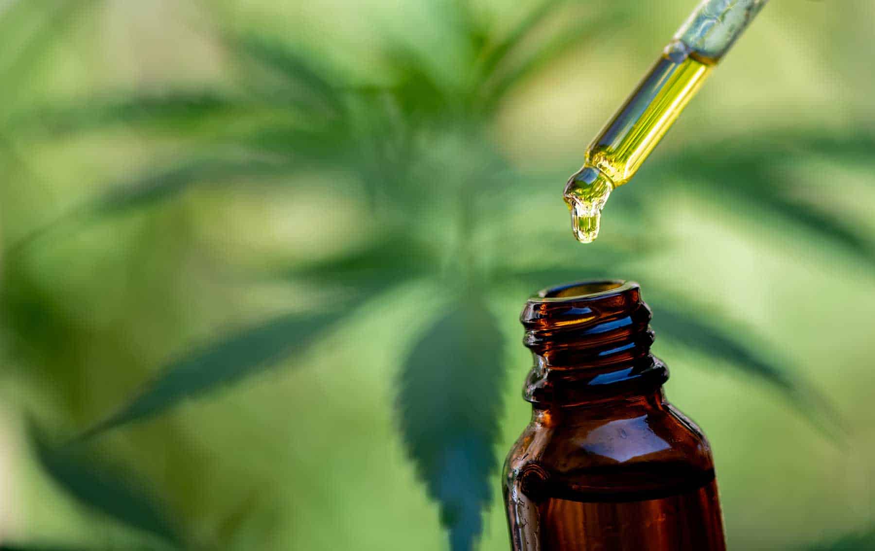 What is CBD? A Look at Current Research and Its Potential Health Benefits