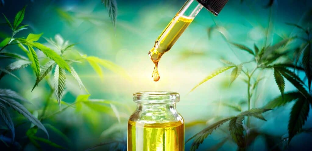 What is the Endocannabinoid System and How Does CBD Oil Interact with it