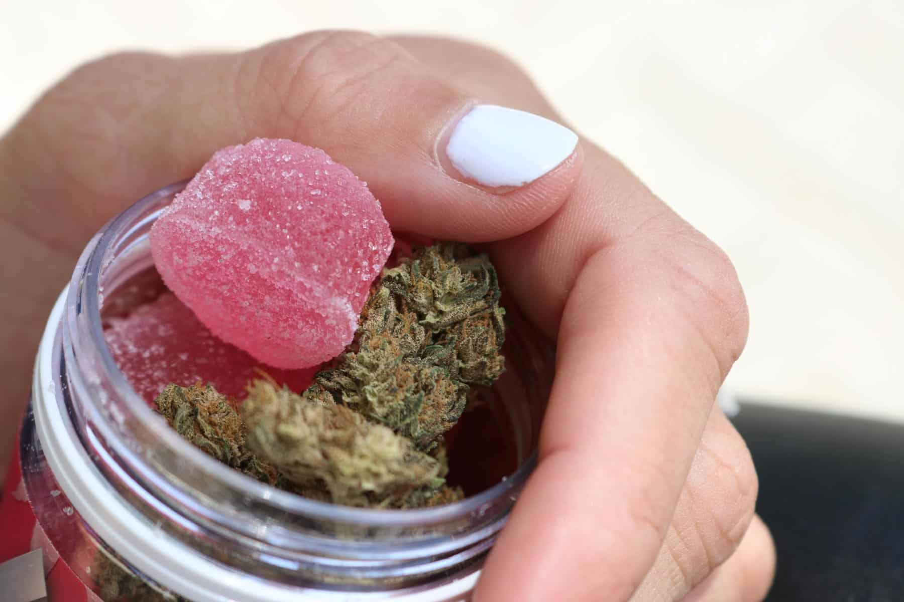 Mastering the Art of Consuming Cannabis Edibles: A Complete Guide