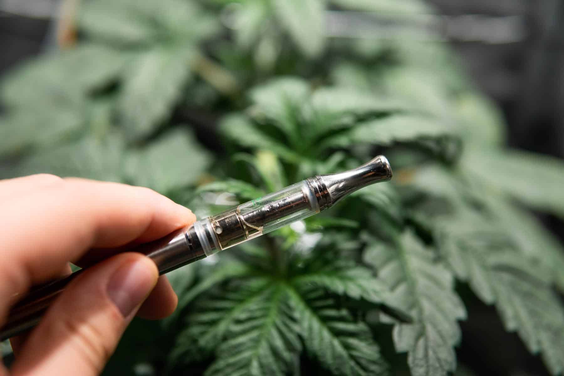 Safety First: Health Considerations When Smoking Cannabis