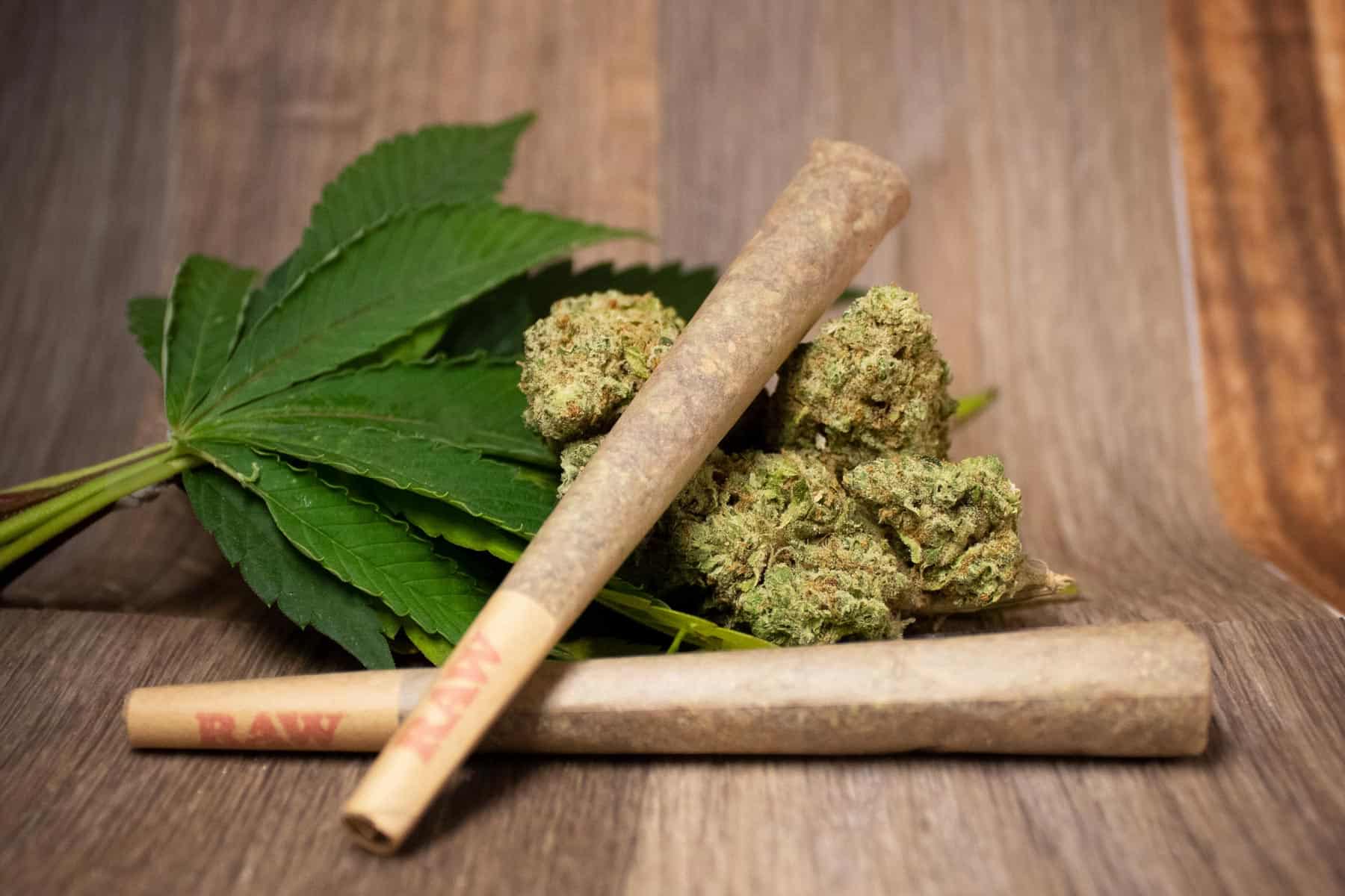 How to Roll the Perfect Cannabis Joint: A Step-by-Step Guide