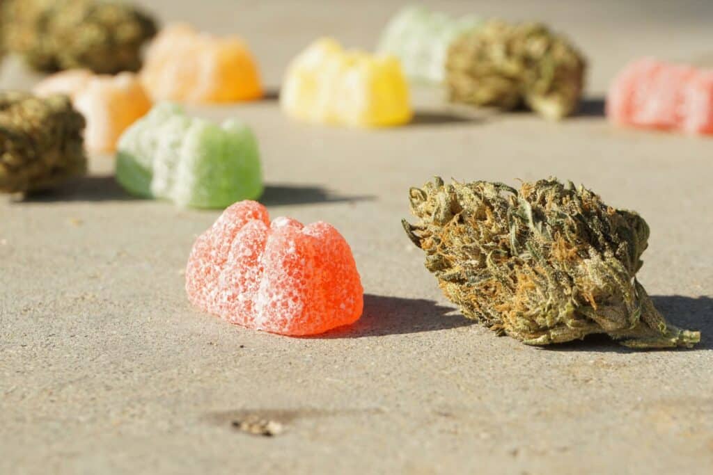 Terpenes in Cannabis Edibles