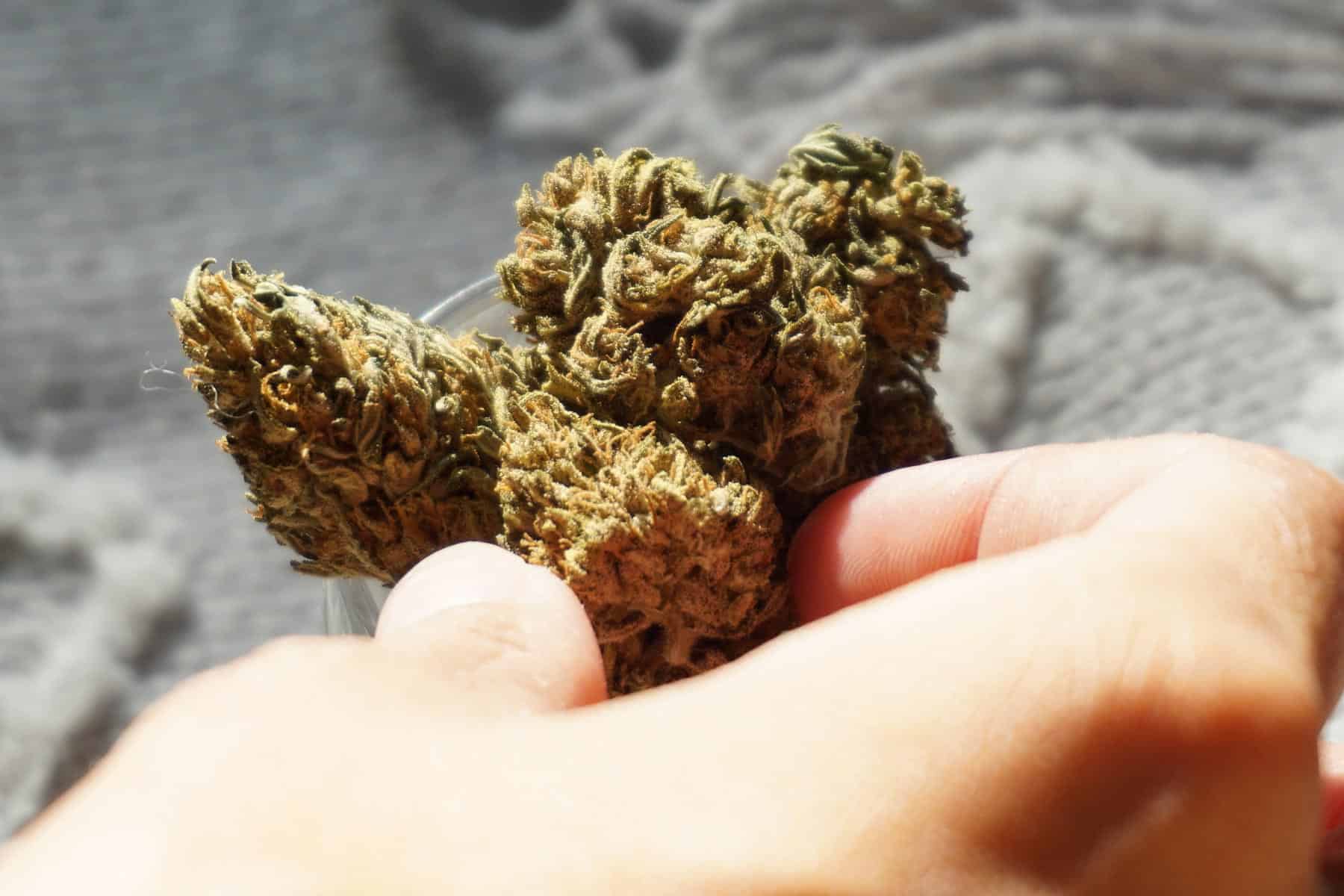 Understanding THC: The Psychoactive Component of Cannabis